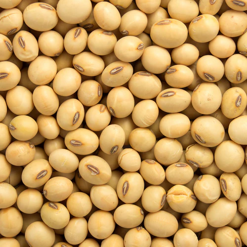 Soyabean